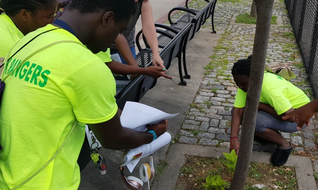 Newark youth learning about plant growth as part of UPAO’s Park Rangers Environmental Enrichment Program
